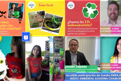 ACTIVIDADES-EMBAJADORA-MEDIOAMBIENTAL-en-INTERESCOLARAMBIENTAL-