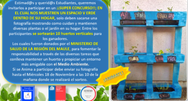 CONCURSO HUERTOS VERTICALES EBT 2020