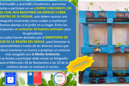 CONCURSO HUERTOS VERTICALES EBT 2020