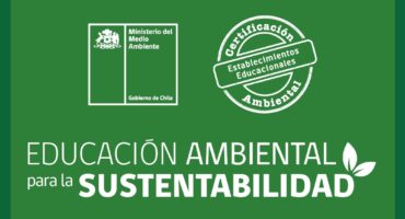 bandera-excelencia
