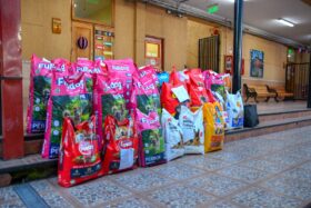 Campaña de alimentos para refugio “San Francisco de Asís”