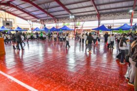 VI Feria Medioambiental