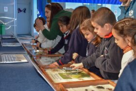 ¡Una experiencia única junto a Insectomanía!